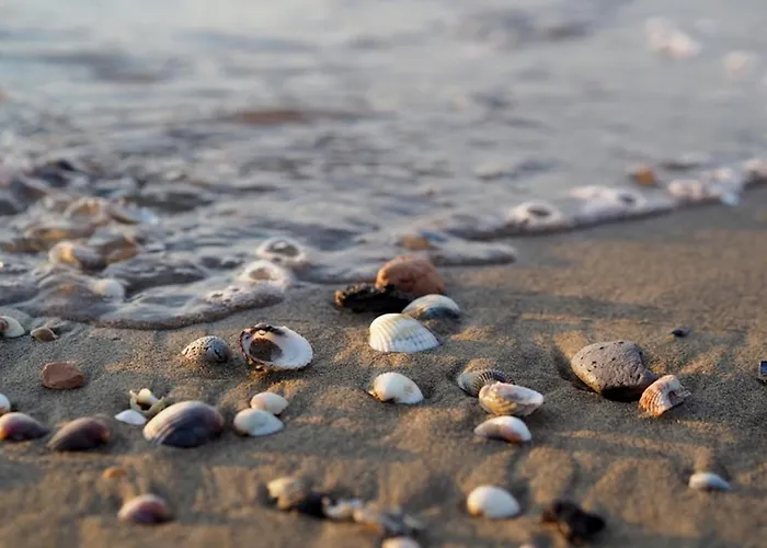 Appartamento Well Located In - Beahost